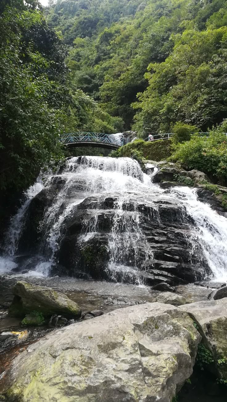 Darjeeling Full Day Private Sightseeing Tour